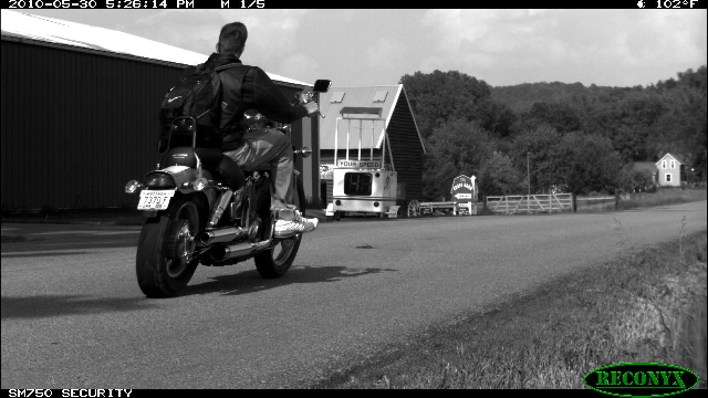 SM750 License Plate Capture Images