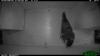 HyperFire 2 Professional Small Mammal Camera