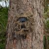 CamBush Trail Camera Ghillie Suit